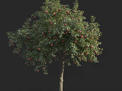 Vibrant Fruit Bearing Arbor With Lush Green Foliage And Red Apples 3d model