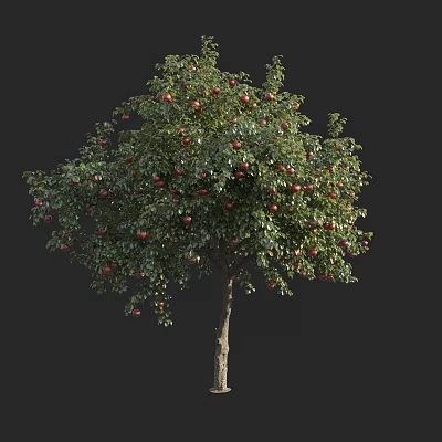 Vibrant Fruit Bearing Arbor With Lush Green Foliage And Red Apples 3d model