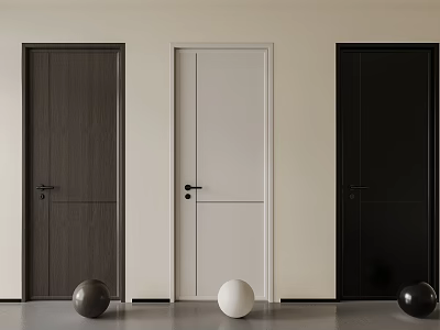 Modern Hinged Doors in Dark Brown White and Black Colors for Home Interior 3d model