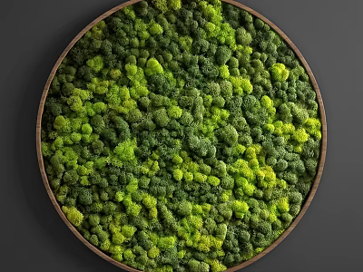 Lush Green Living Plant Wall Circular Design For Indoor Interior Decor 3d model