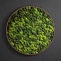 Lush Green Living Plant Wall Circular Design For Indoor Interior Decor