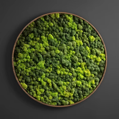 Lush Green Living Plant Wall Circular Design For Indoor Interior Decor 3d model