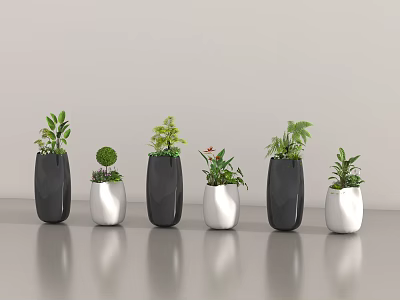 Plant Arrangement with Black and White Planters and Various Green Plants on Gray Smooth Surface 3d model