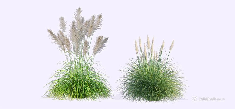 Ornamental Garden Shrubs With Green Foliage And White Plumes For Landscaping 3d model 