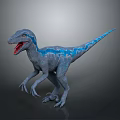 Dynamic Realistic Gray Velociraptor With Blue Stripes Open Mouth Sharp Teeth Posing 3d model