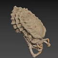 Detailed 3D Monster Skull Model With Sharp Fangs And Bone Texture