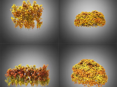 Vibrant Yellow Orange Autumn Shrubs with Various Shapes for Garden Landscaping 3d model