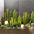 Various Cactus Bonsai Potted Plants with Small Stones Decorative Lanterns and Illuminated Lights