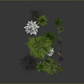 Variety Of Green Trees And Plants With Different Foliage Types 3d model