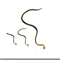 Three Golden Snakes With Curved Shiny Bodies On White Background