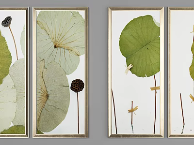 Framed Botanical Paintings With Lotus Leaves Pods And Dragonflies For Home Decor 3d model