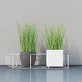 Bonsai Potted Plants With Fresh Green Grass-like Leaves On Metal Stand For Modern Indoor Decor