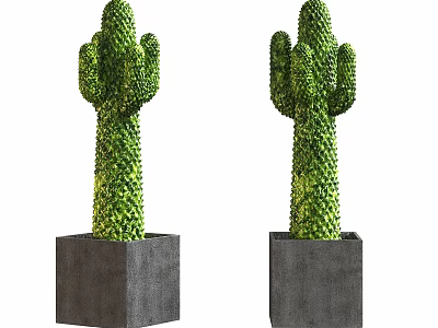 Two Green Cactus Potted Plants In Gray Square Decorative Pots 3d model