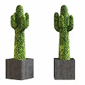 Two Green Cactus Potted Plants In Gray Square Decorative Pots