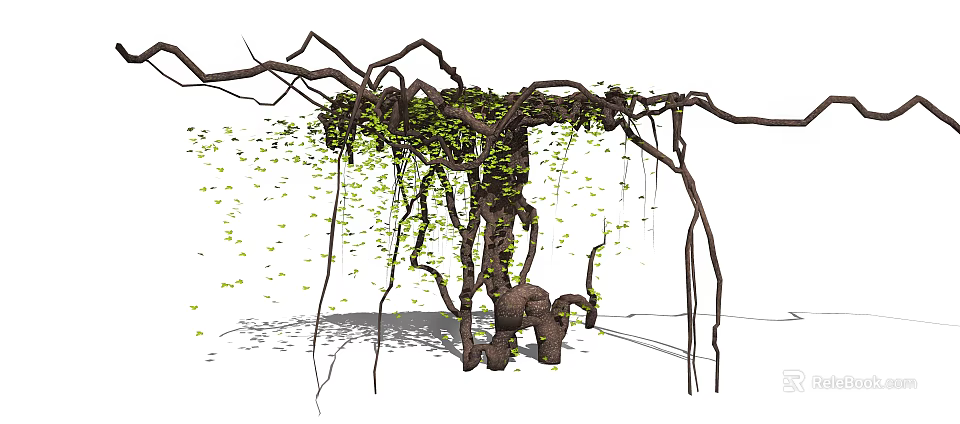Lush Green Vine with Twisted Branches Hanging Leaves and Natural Shadows 3d model 