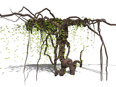 Lush Green Vine with Twisted Branches Hanging Leaves and Natural Shadows 3d model