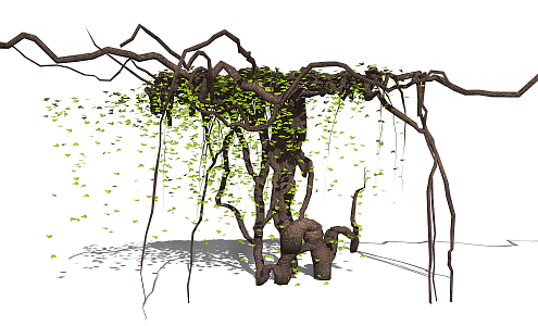 Modern Vine Climbing Vine Plant 3d model