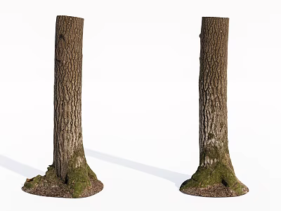 Organic Stone Wood Tree Trunks With Textured Bark And Mossy Base 3d model