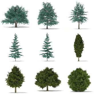 The Modern Tree 3d model