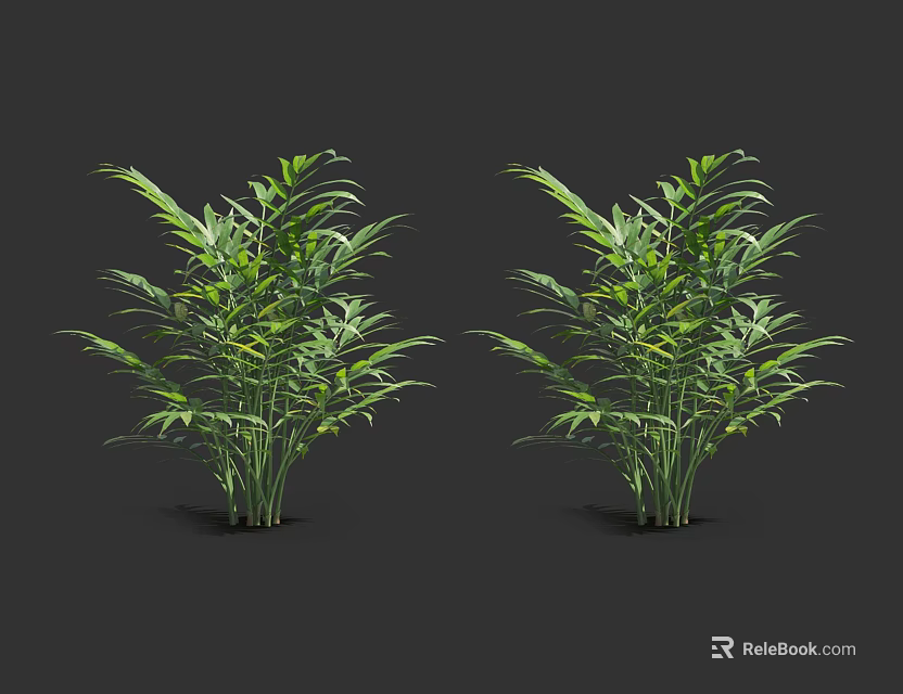 Lush Green Bamboo Plants With Long Leaves And Tall Stems For Decorative 3d model 