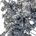 Lush Green Vines Growing On White Garden Trellis With Foliage