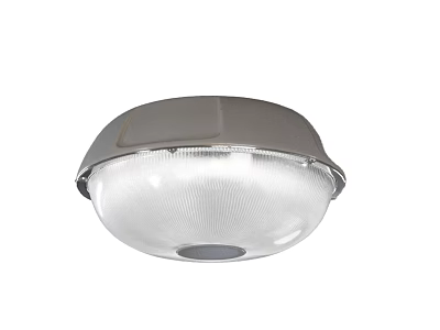 Modern Ceiling Light With Silver Metal Frame And Transparent Glass Shade 3d model