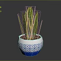Snake Plant in Blue and White Patterned Pot With Green Leaves And Yellow Stripes