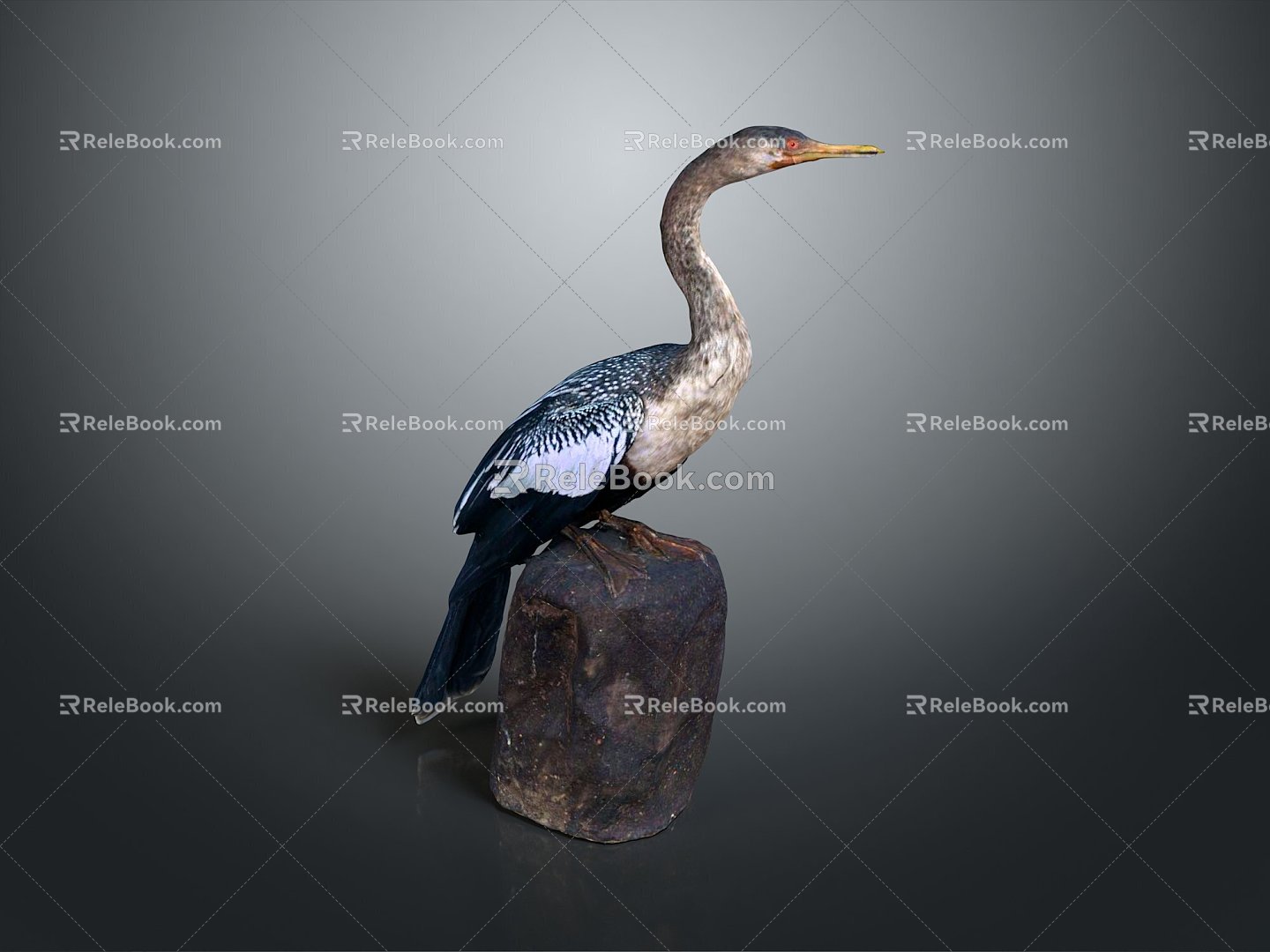 bird bird bird bird game animal cartoon animal animal realistic animal 3d model