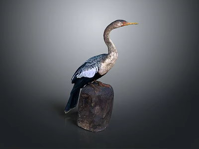 bird game animal cartoon animal realistic animal 3d model