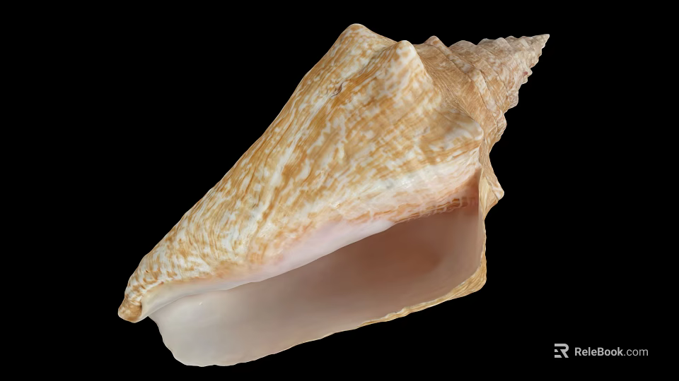 Conch Shell Marine Animal With Brown White Patterns And Pink Interior 3d model 