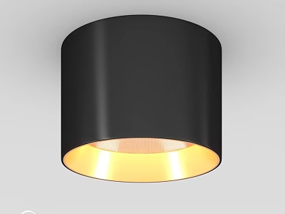 Modern Black Ceiling Downlight Spotlight With Warm Yellow Lighting Fixture 3d model