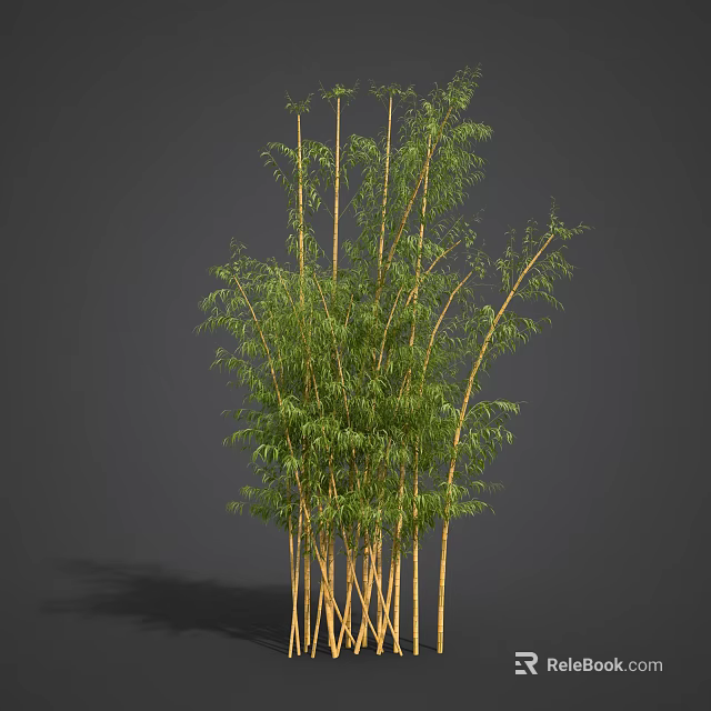Bamboo Plants With Tall Green Stems And Lush Foliage In Natural Setting 3d model 