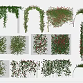 Decorative Vines in Arched Wall Covering and Hanging Designs with Green Leaves and Red Flowers