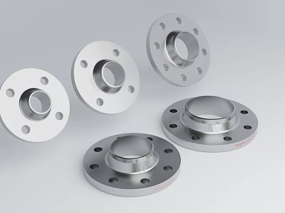 Stainless Steel Industrial Flanges With Multiple Holes And Different Designs 3d model