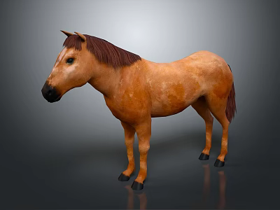 Brown Horse Standing Full Body Side View With Brown Mane On Gray Background 3d model