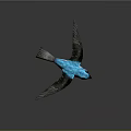 Flying blue and white bird with black wings and red claws in grey gradient background