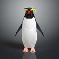 Cute Penguin Character With Yellow Eyebrows Red Beak And Pink Feet