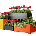 Colorful Potted Plants in Yellow Black and Orange Planters with Red Flowers and Ferns