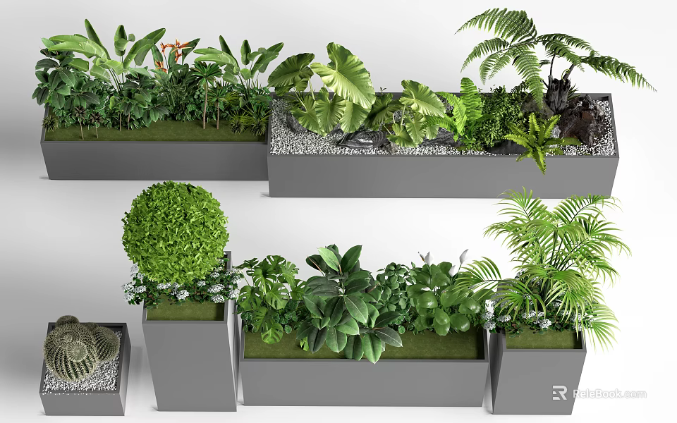 Various Green Plants In Rectangular Planters With Ferns Shrubs And Pebbles 3d model