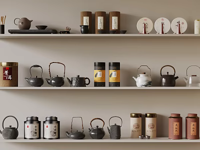 Traditional and Modern Tea Wares Display on Shelves with Various Teapots and Labeled Caddies 3d model