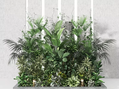 Lush Green Plant Arrangement With Diverse Foliage And Climbing Vines 3d model
