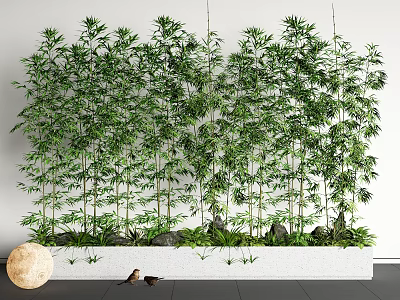 Lush Green Bamboo Plants Arrangement With Stone Decor And Planter Box 3d model
