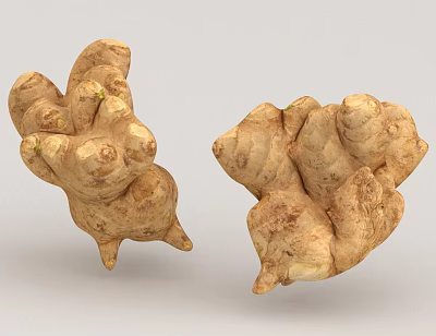 Fresh Organic Whole Ginger Roots Raw Natural Healthy Food Ingredient for Cooking 3d model