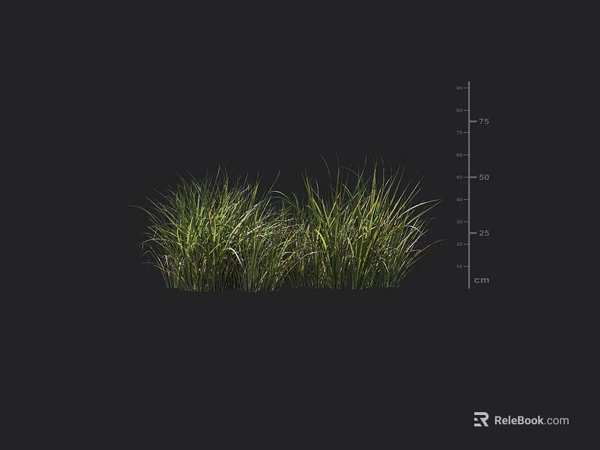 Fresh Green Grass Plants With Height Measurement Scale On Dark Background 3d model 
