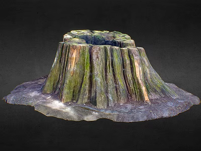 Natural Wood Stone Tree Stump With Mossy Texture And Rough Surface 3d model