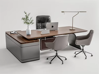 Modern Office Desk With Wooden Top Laptop Vase Plant Floor Lamp And Chairs 3d model