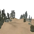 Various Shaped Succulent Cacti Growing in Sandy Desert with Blue Sky and White Clouds