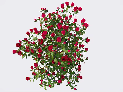 Vibrant Red Roses With Lush Green Leaves Blooming In Natural Arrangement 3d model