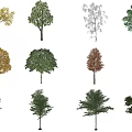 Various Arbor Tree Varieties Showcasing Different Leaf Colors And Shapes 3d model