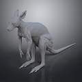 Detailed 3D Kangaroo Model In Standing Pose With White Texture And Gray Background